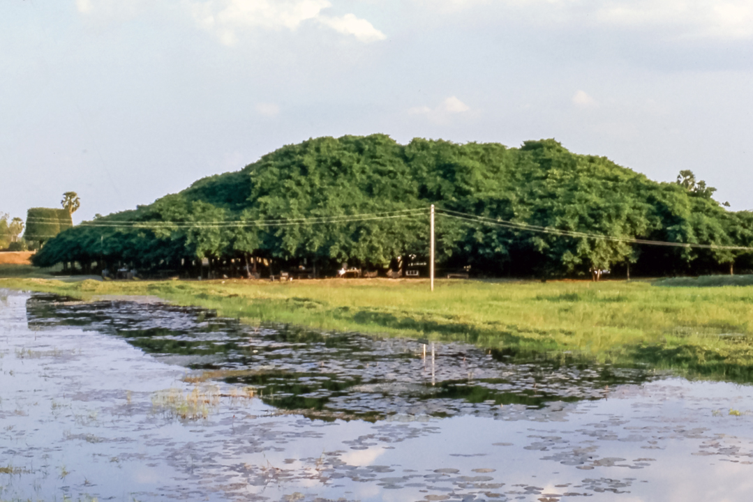 Phimai, Thailand, 1973