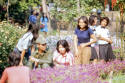 Rose Garden