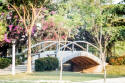 Rose Garden 