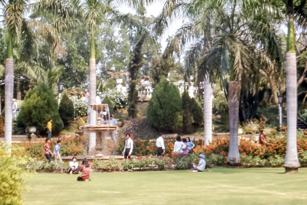 Rose Garden