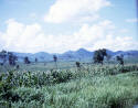 Dick Storck - Khao Yai National Park - 1969 